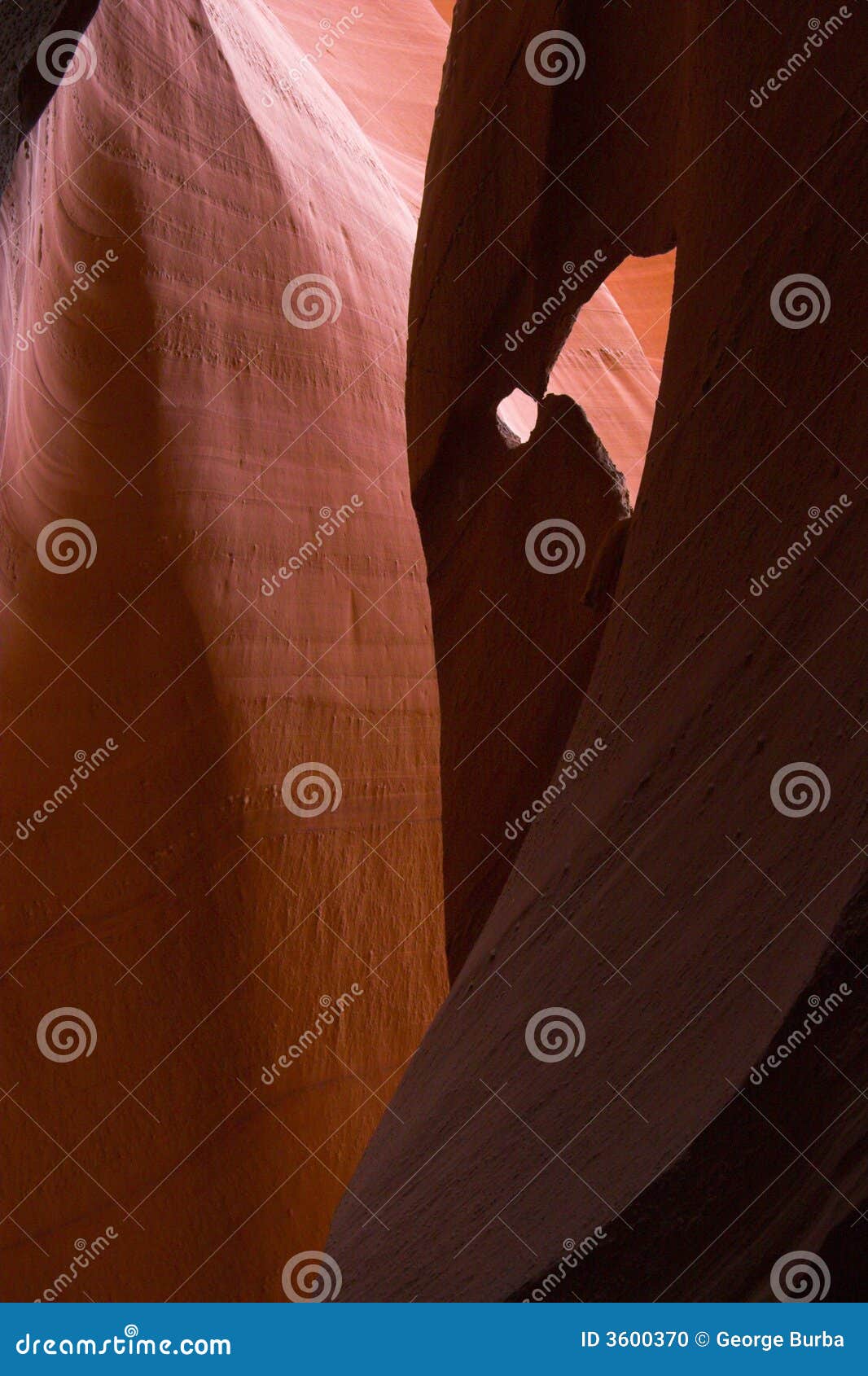 Southwest slot canyons