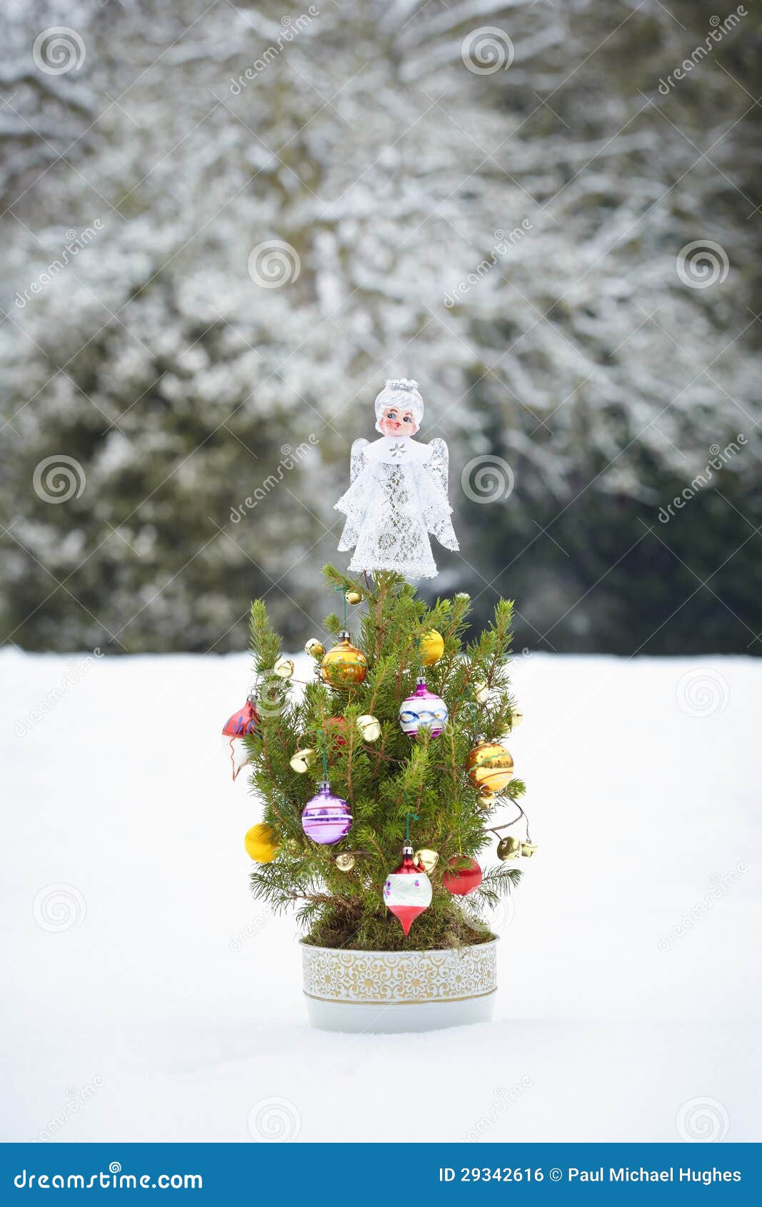 Small Decorated Christmas Tree Royalty Free Stock Image - Image ...