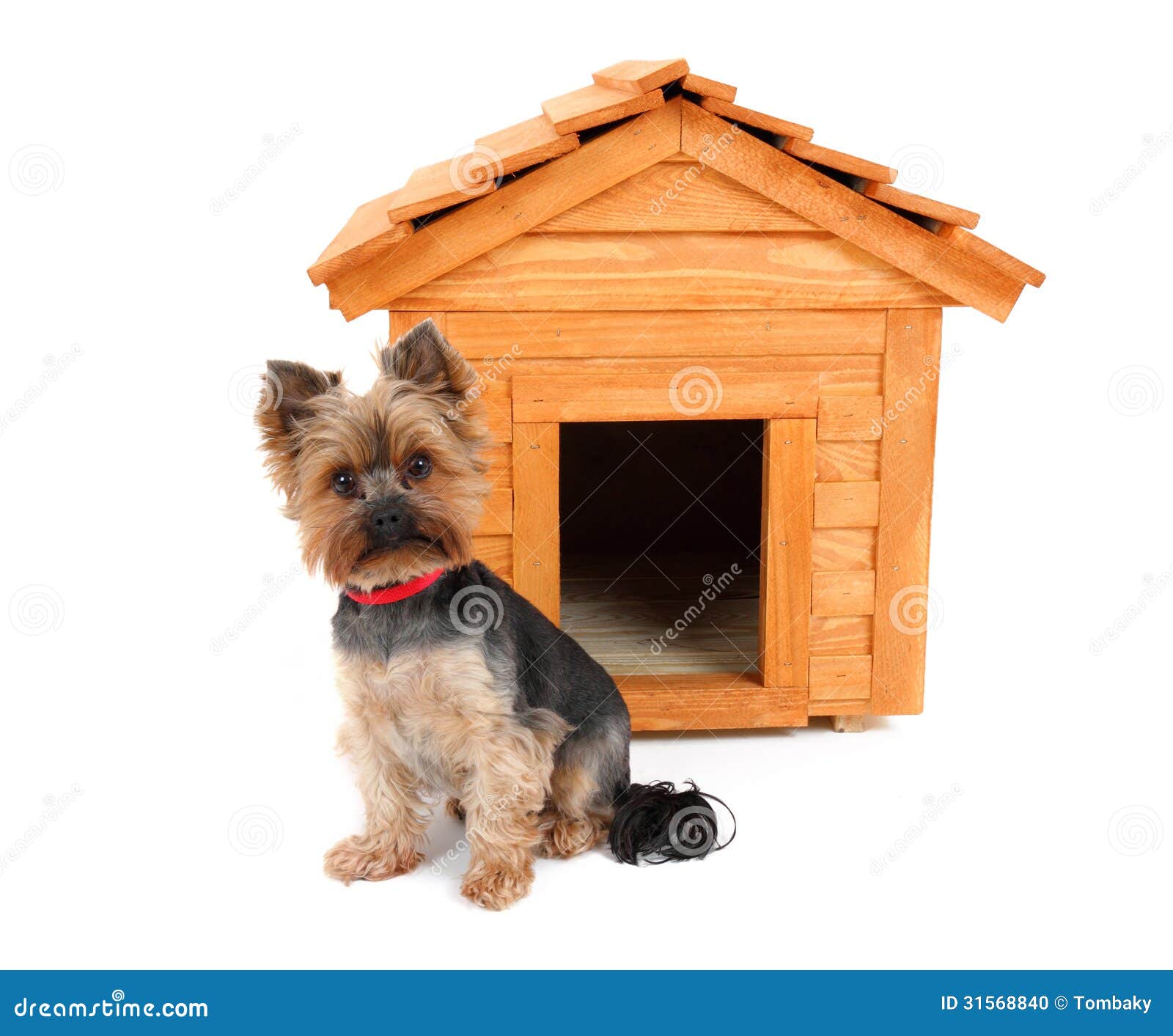  House Plans Free Outdoor Plans DIY Shed Wooden. on small dog house