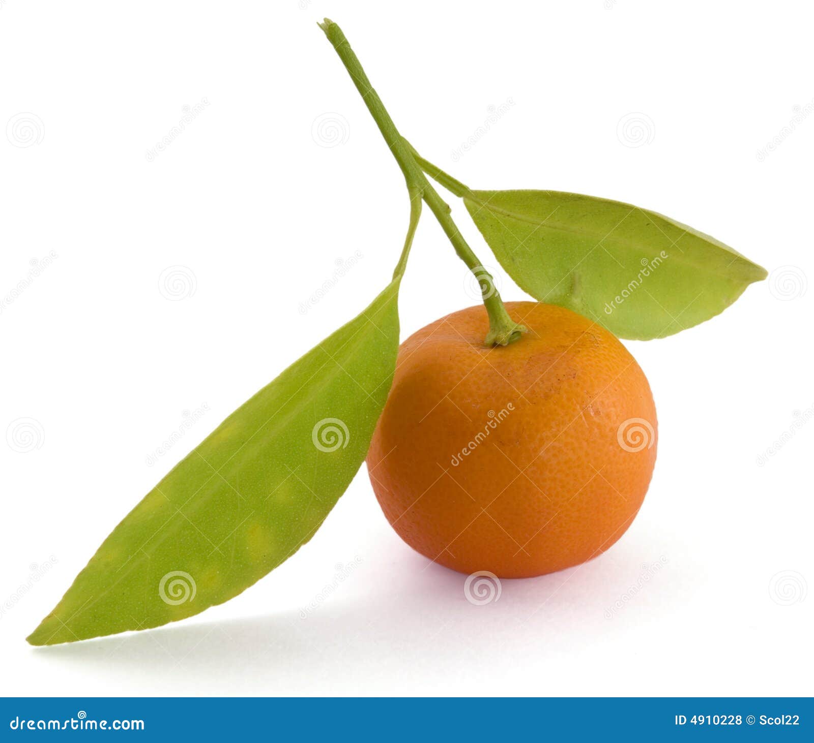 My Image 25