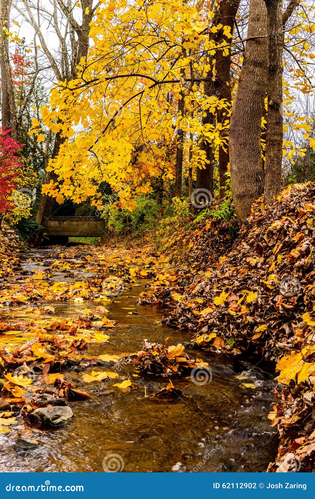 It is a graphic of Monster Small Fall Leaves It is a picture of Monster Small Fall Leaves