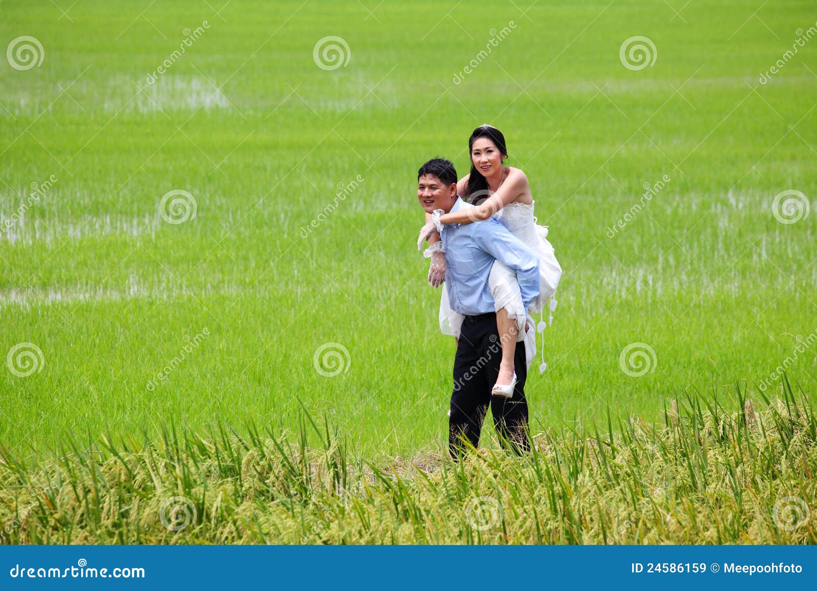 download bioactive natural products part m