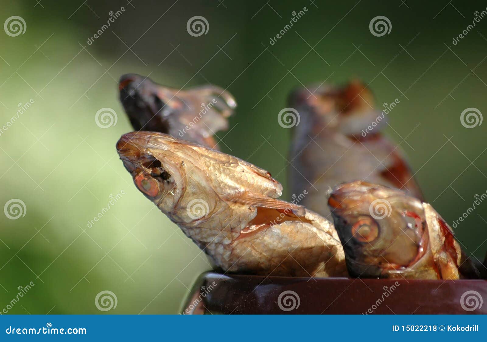 fish heads happy hour