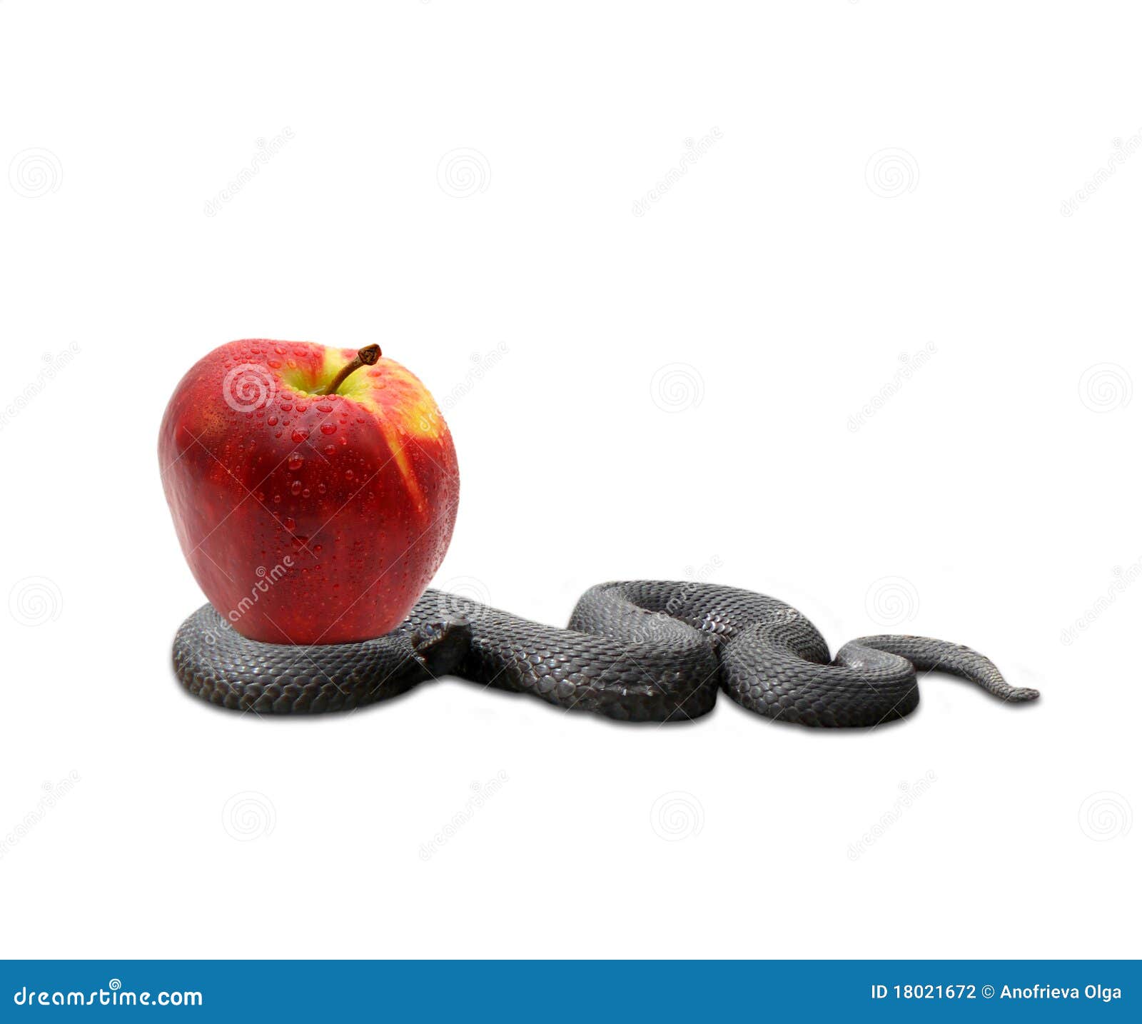 Snake And An Apple Stock Photography Image 18021672