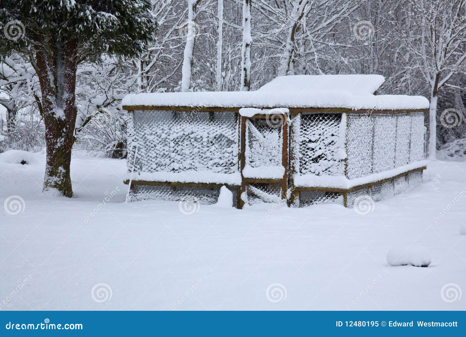 Snow Covered Chicken Coop Royalty Free Stock Photo - Image: 12480195