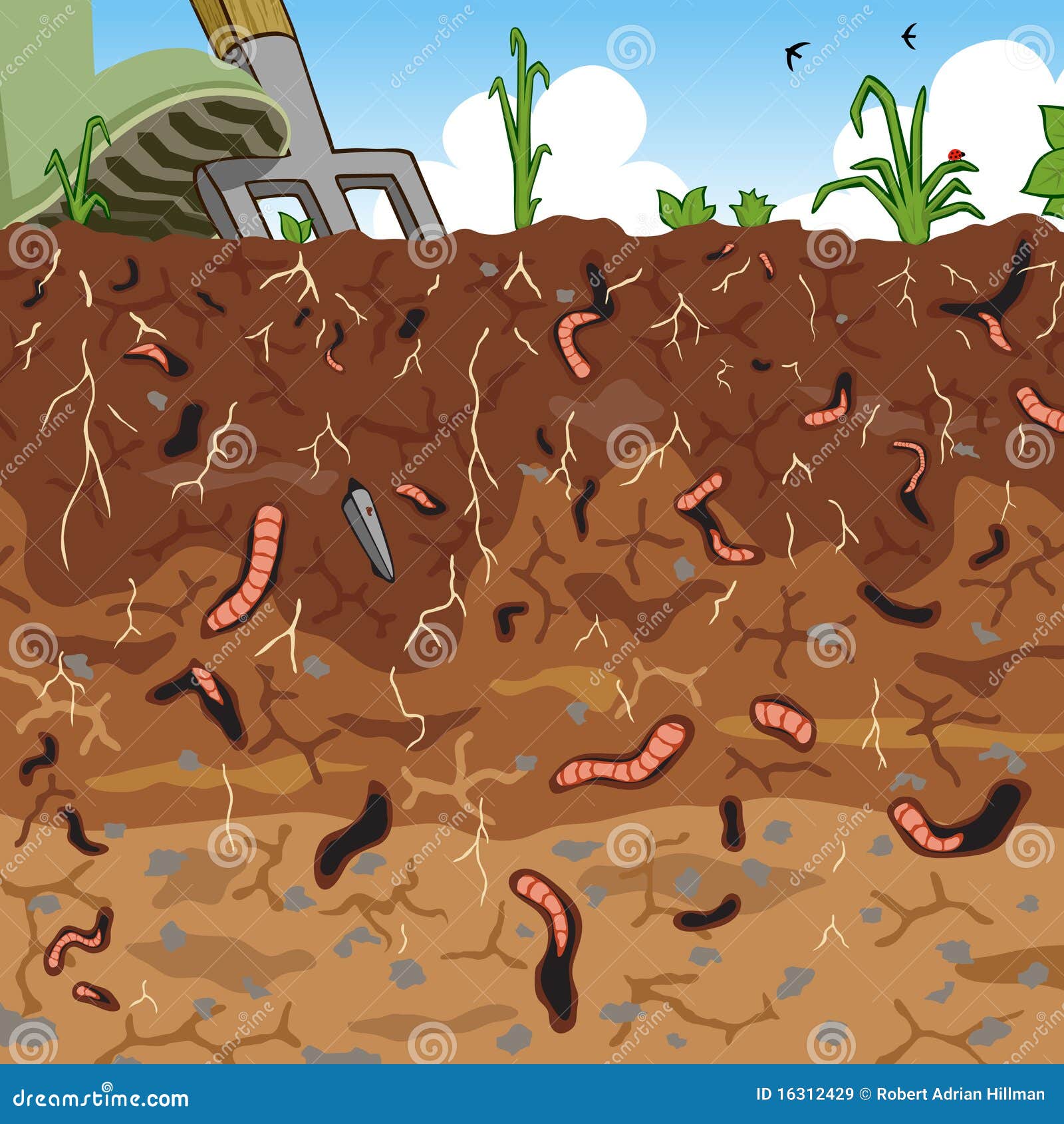 Animals That Live In Soil For Kids Animals That Live In Soil For Kids
