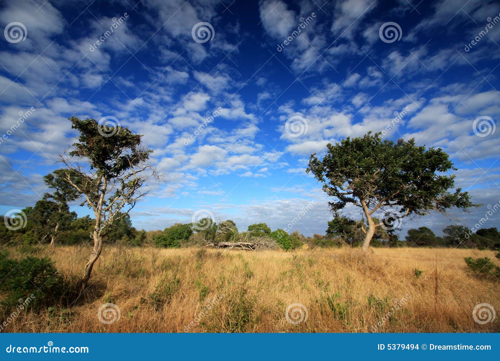 south-africa-scenery-5379494.jpg