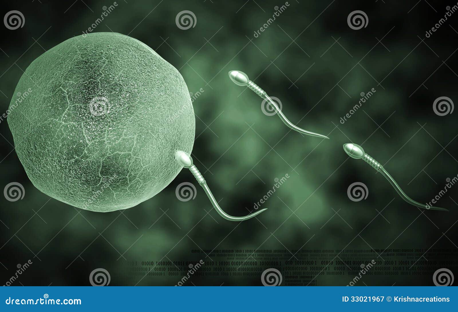 Free Sperm Animation Download