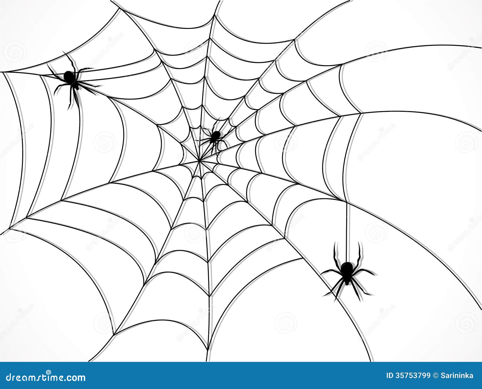 spider web silhouette three spiders 35753799