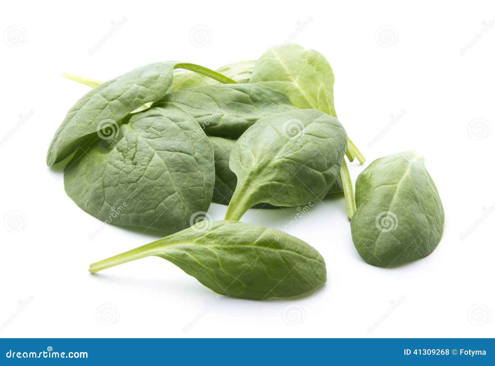 young leaf teen pic tight pussy hole only