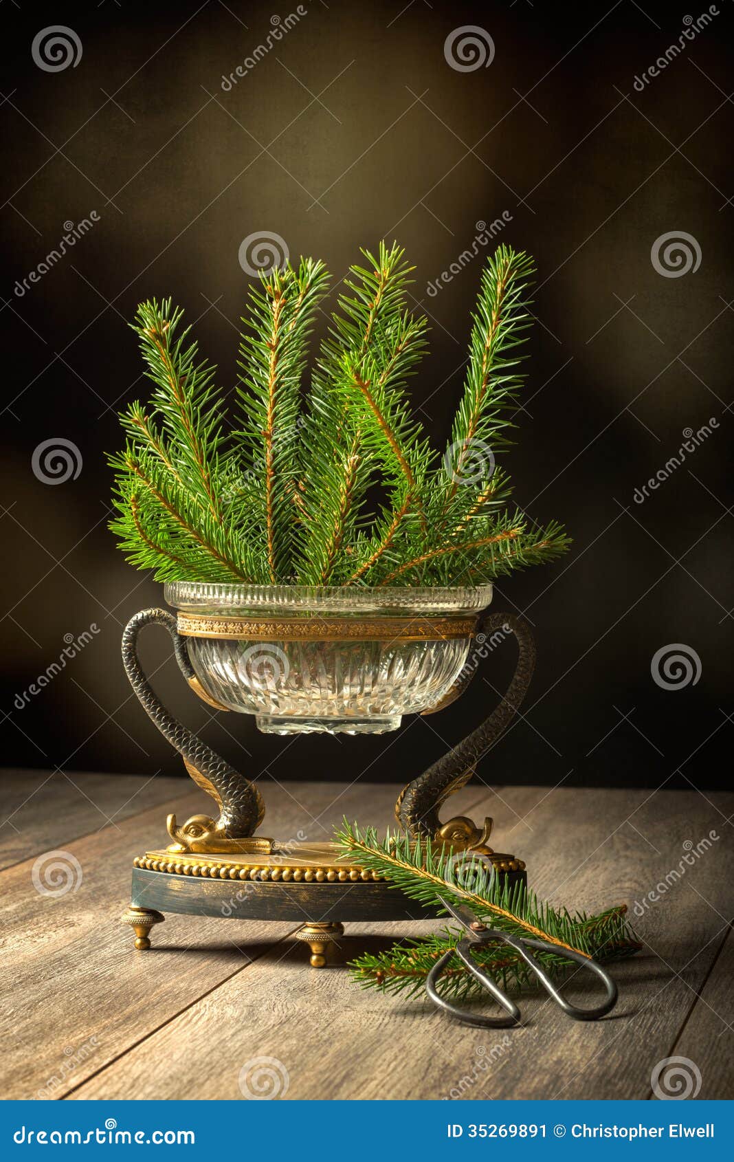 Elegant antique vase full of pine sprigs for Christmas decoration.