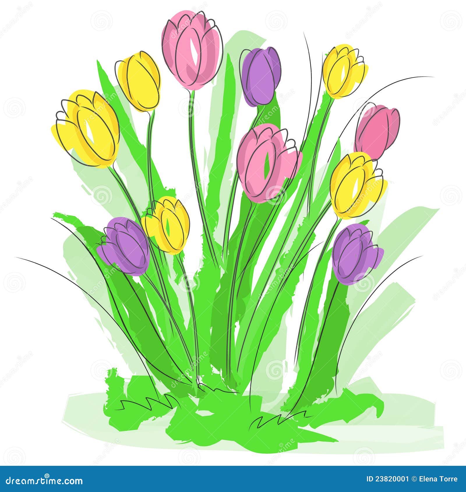 Spring Flowers Vector Stock Image Image 23820001