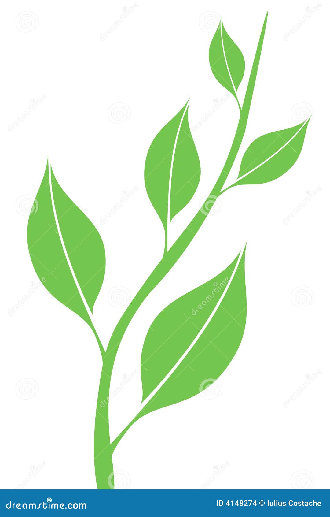 spring leaves clipart - photo #13