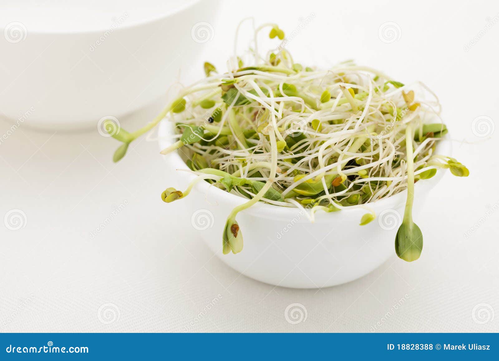 sprout-mix-white-bowl-18828388.jpg
