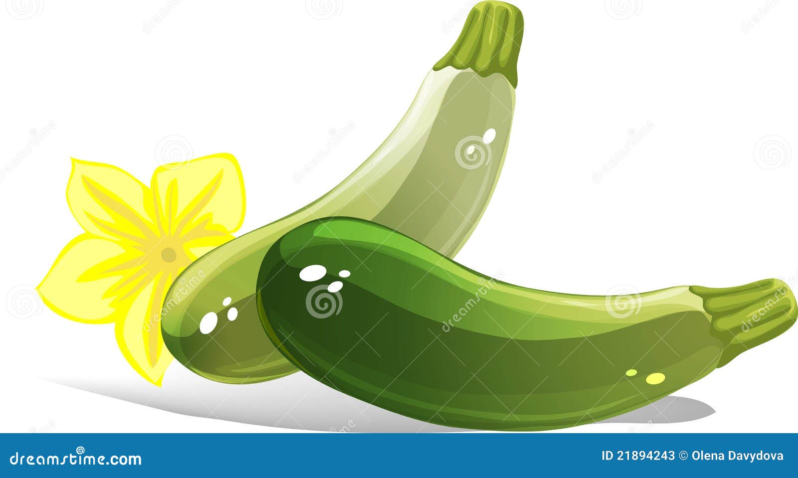 yellow squash clipart - photo #7