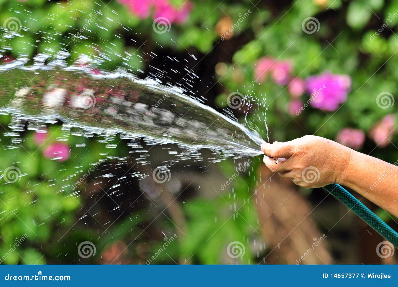 Squirting Water 84