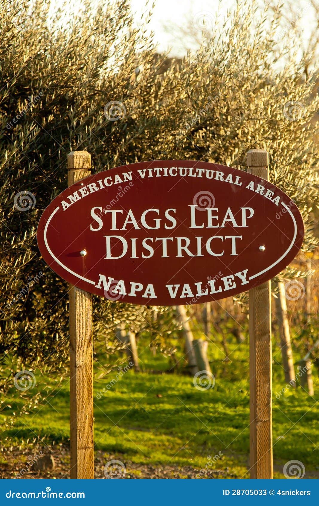 stags leap ava stock photos image 28705033 christmas tree inn california