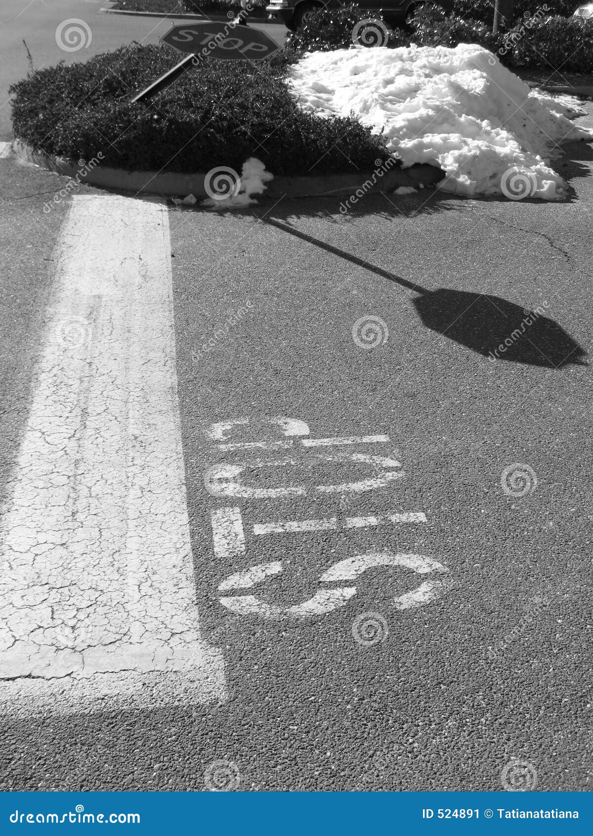 Stop Sign_black And White Stock Image - Image: 524891