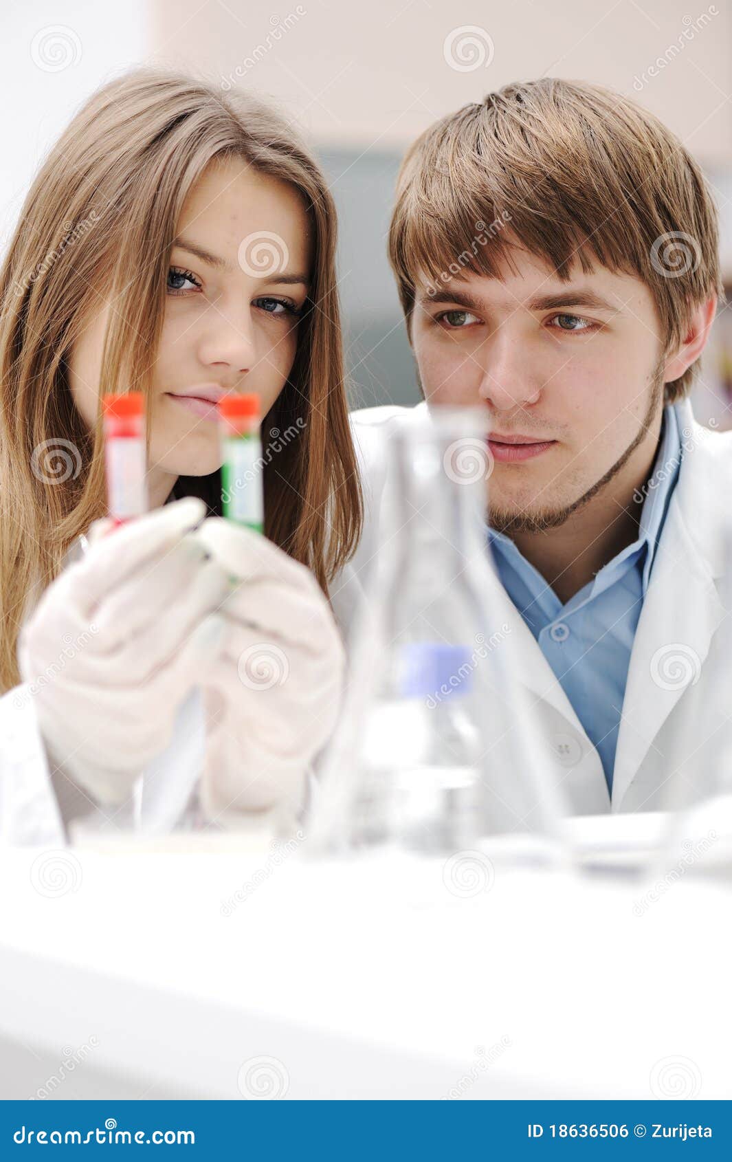 Teamwork research