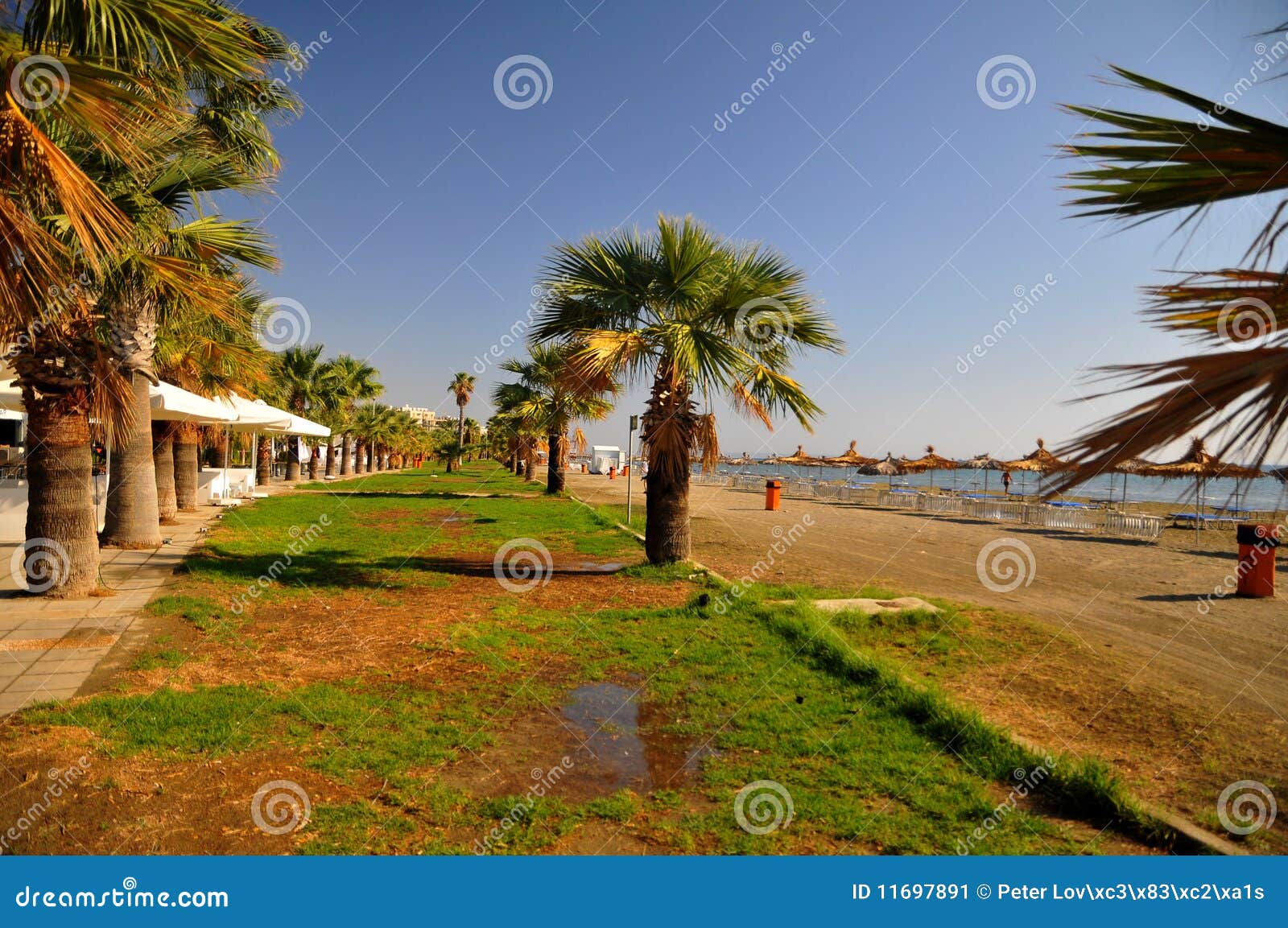  - summer-beach-cyprus-11697891