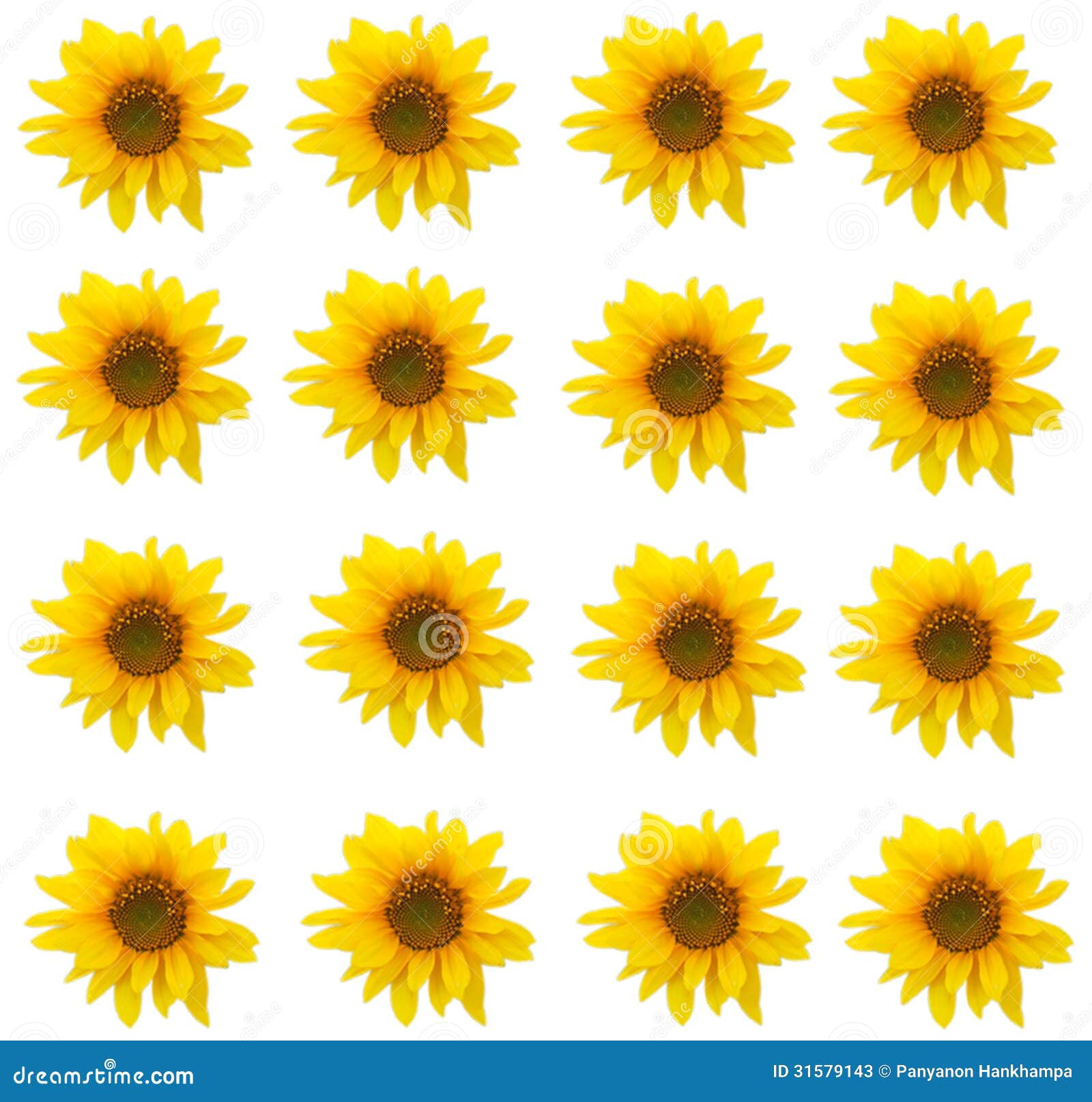 Eleletsitz Sunflowers Tumblr Background Images
