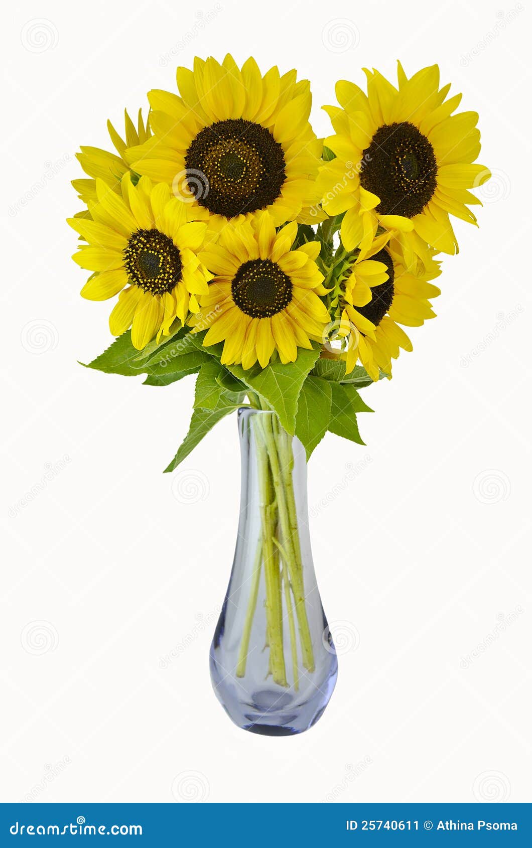 Sunflowers In Vase Stock Image - Image: 25740611