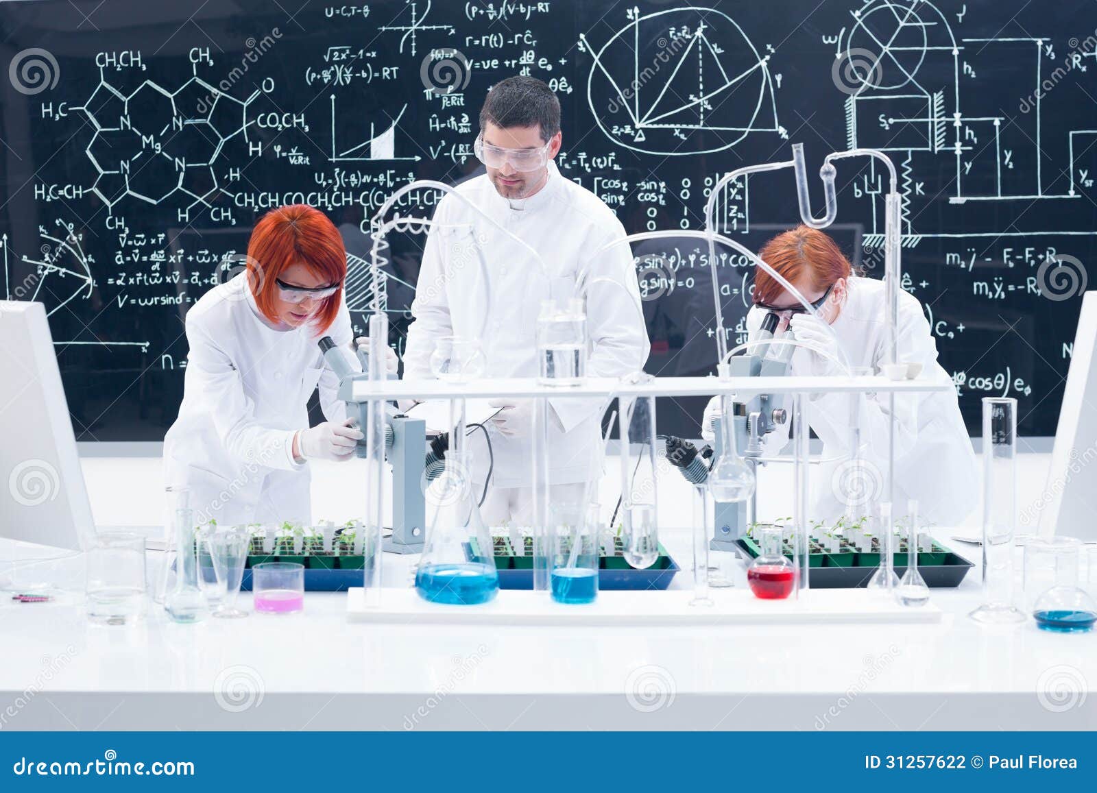 analyzing criminal minds forensic investigative science for the 21st century brain behavior and evolution