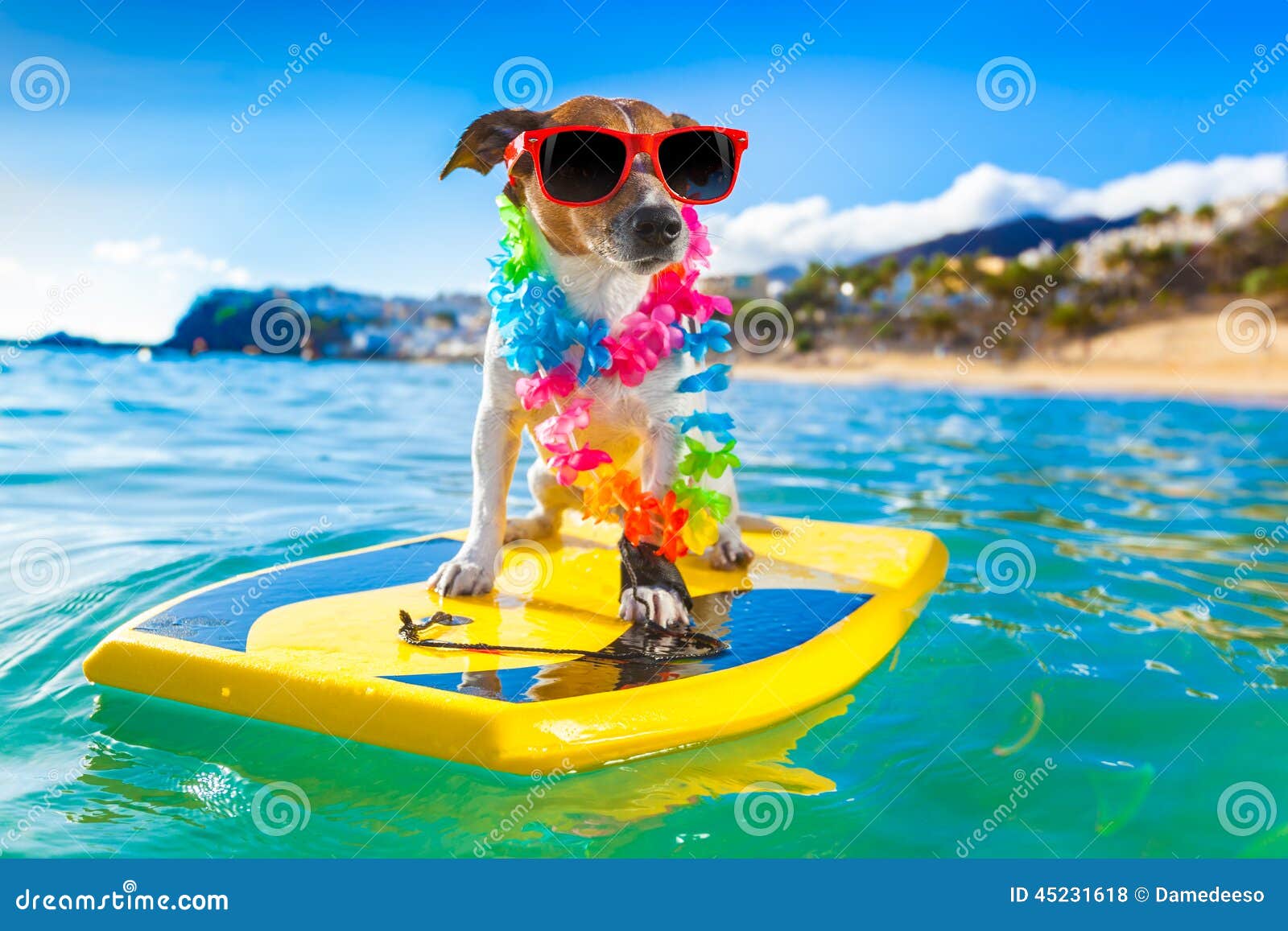 surfing dog surfboard wearing flower chain sunglasses ocean shore 45231618