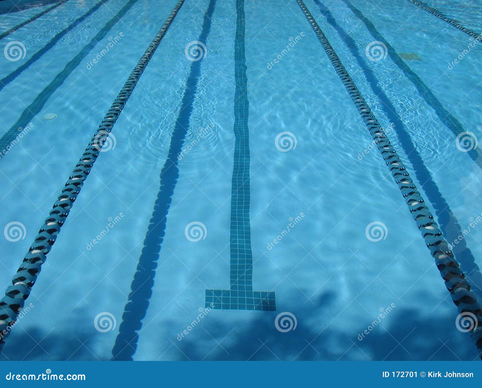 Swimming Pool Lap Lanes Stock Image - Image: 172701