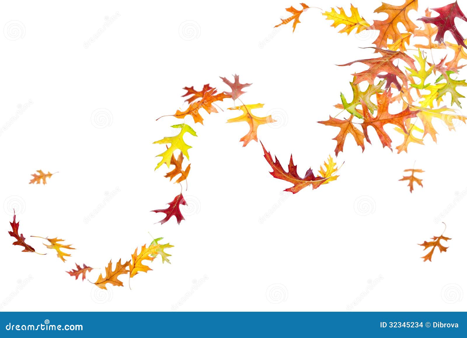 clip art leaves blowing - photo #30