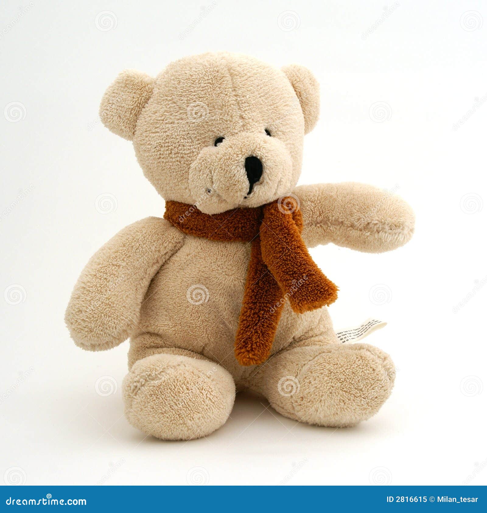 teddy bear royalty free stock photo image 2816615 teddy bear royalty free stock photo image 2816615