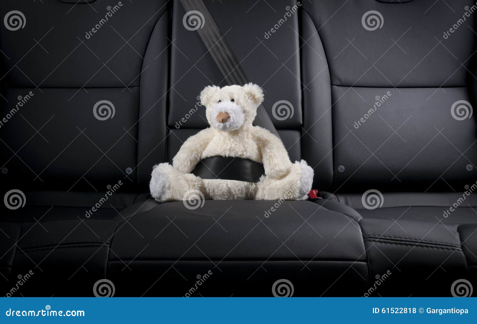 Teddy bear fastened in the back seat of a car