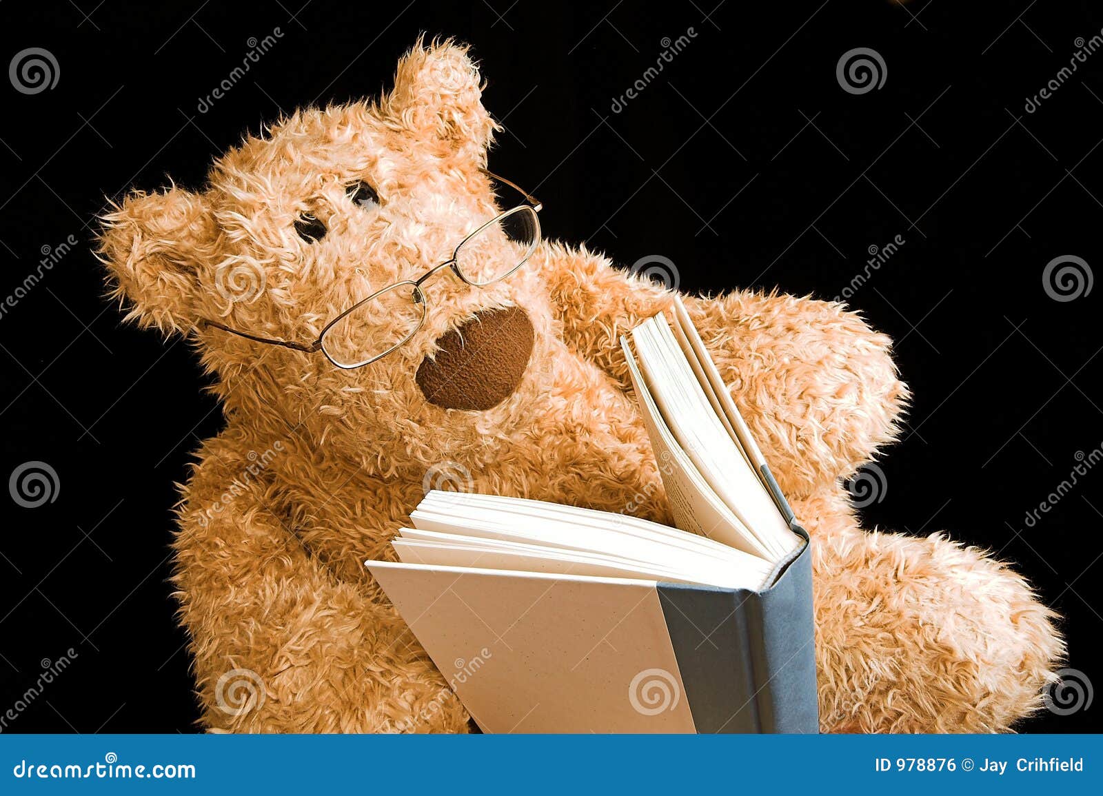 teddy bear reading clipart - photo #25