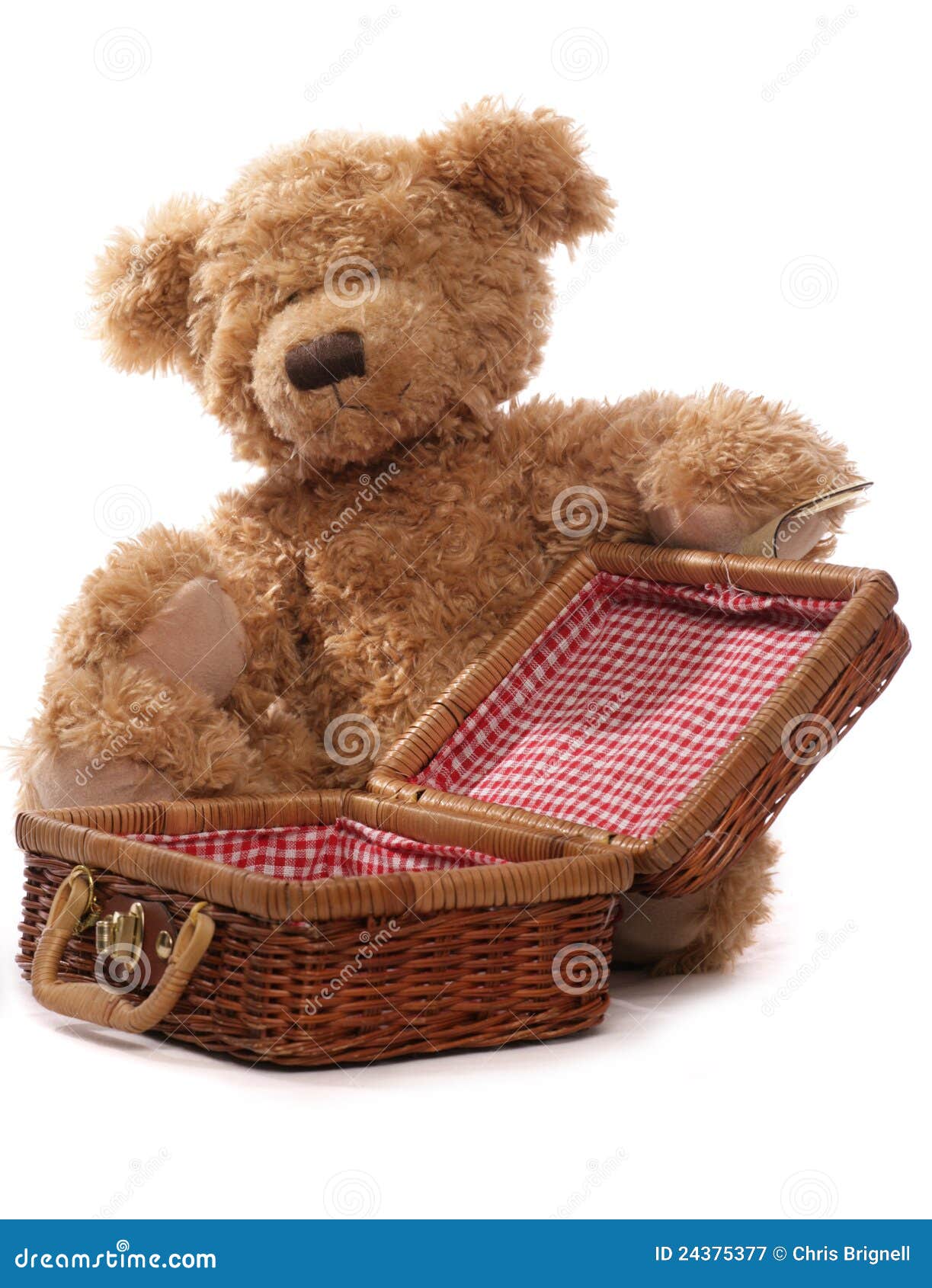 clipart teddy bears picnic - photo #46