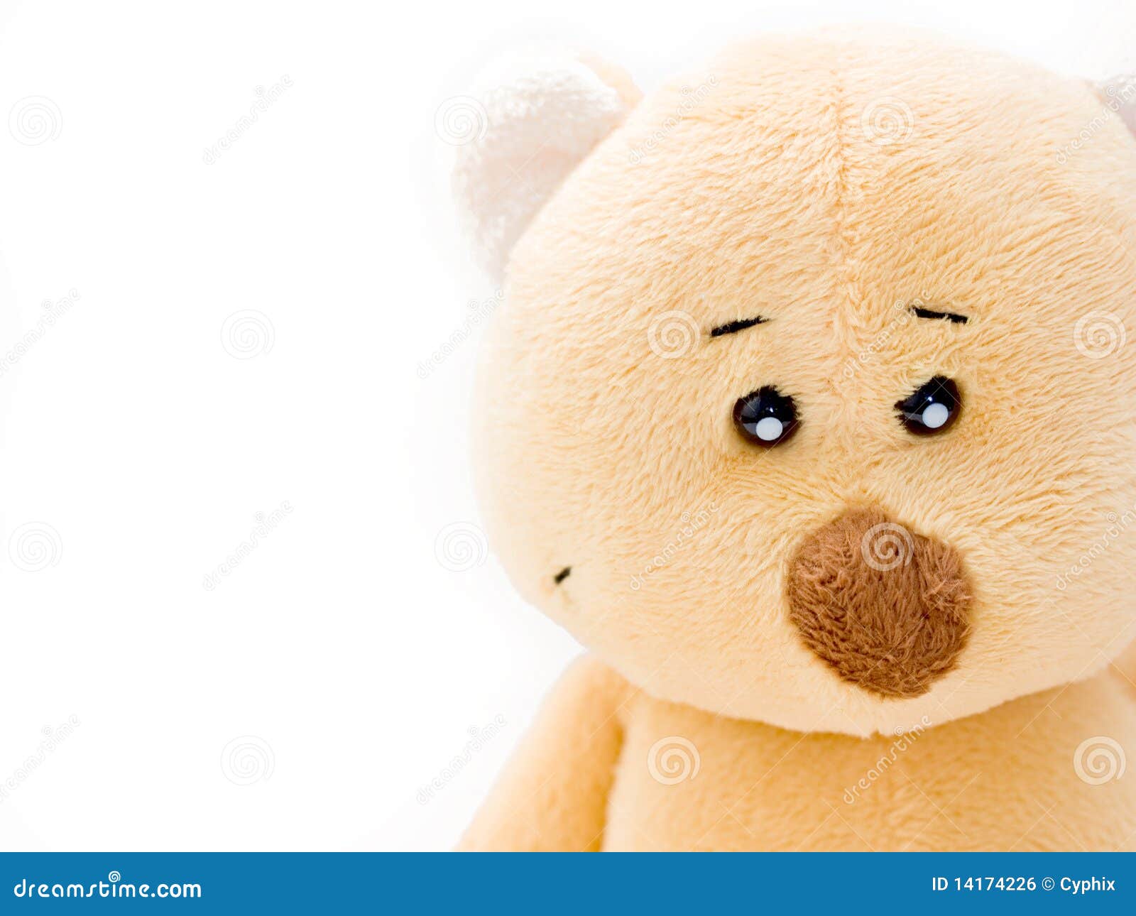 Teddy Face Royalty Free Stock Image - Image: 14174226