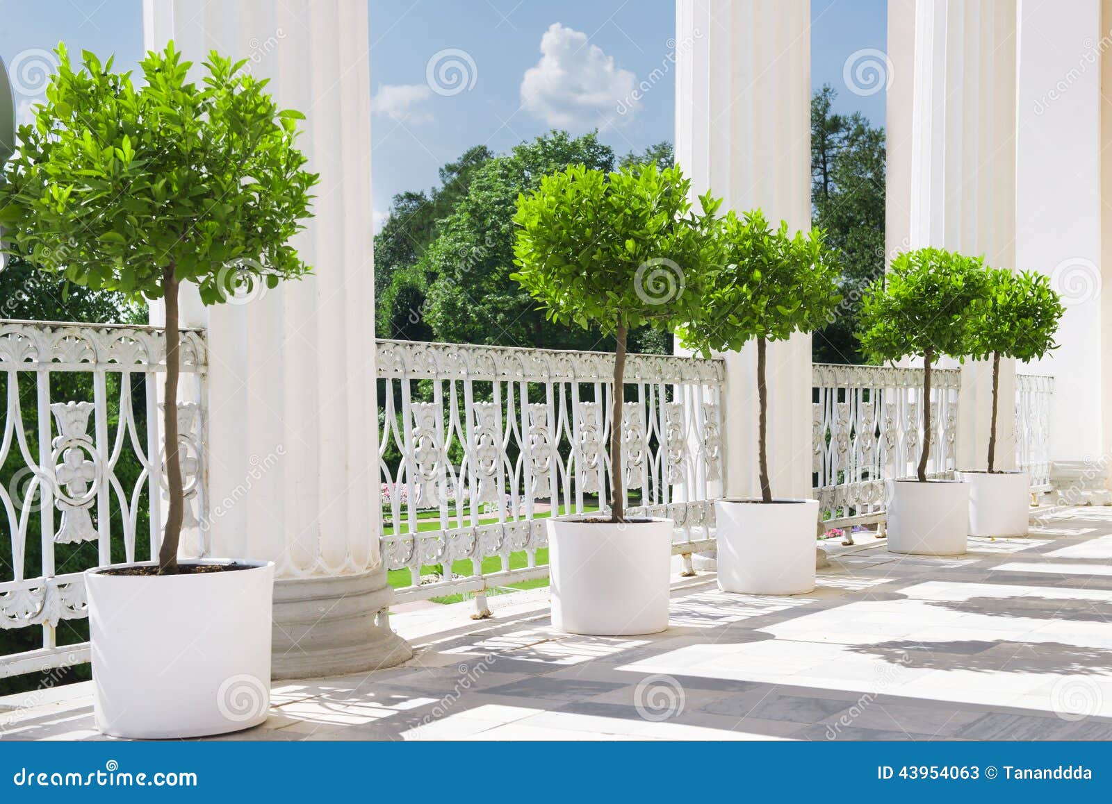 Arredamento terrazzo con piante : arredo terrazzo con piante ... Decorazione Terrazzo Giardino