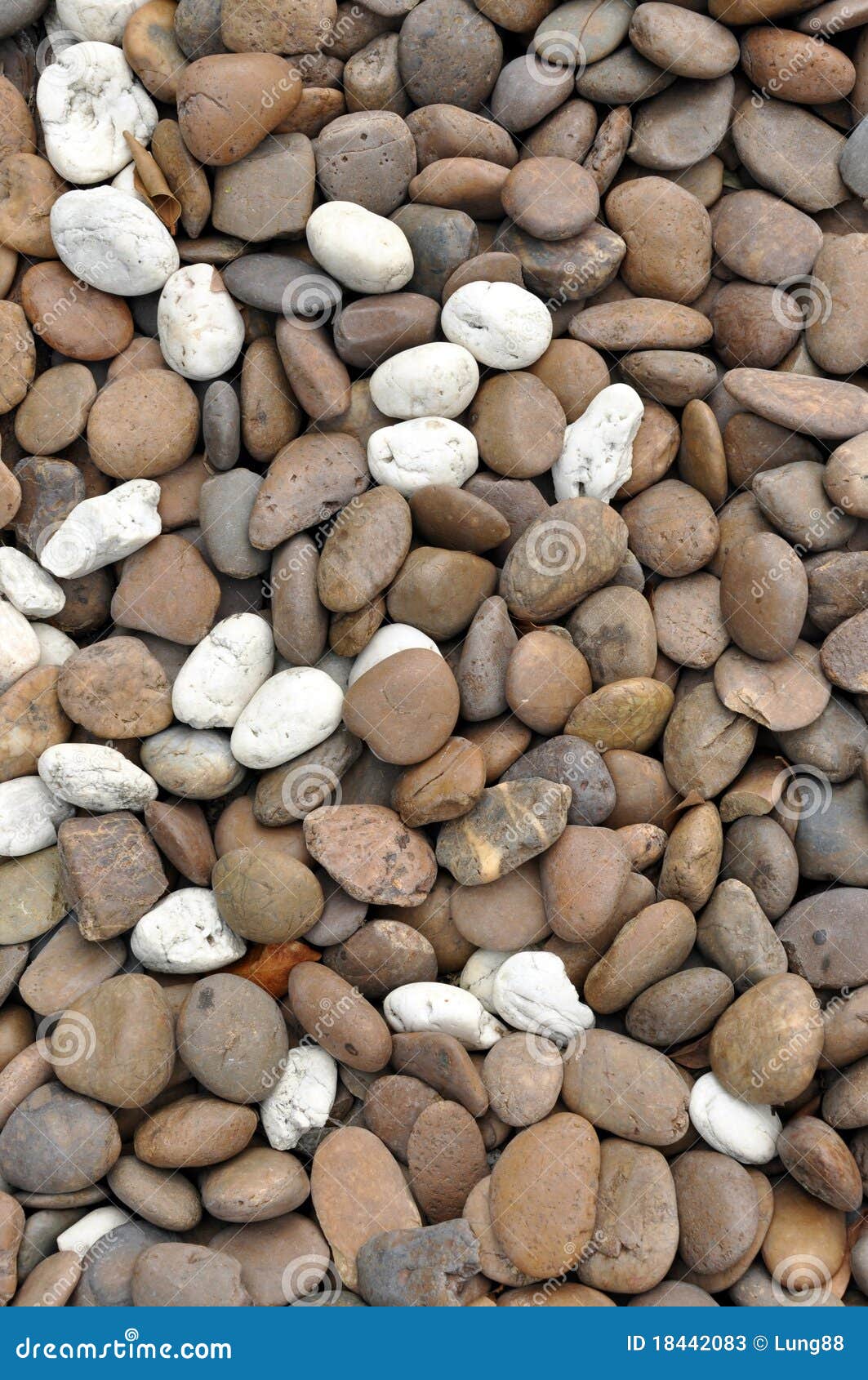 pedras decorativas para jardim fortaleza:Textura De Pedra Fotos de Stock – Imagem: 18442083 pedras decorativas para jardim fortaleza:Textura De Pedra Fotos de Stock – Imagem: 18442083