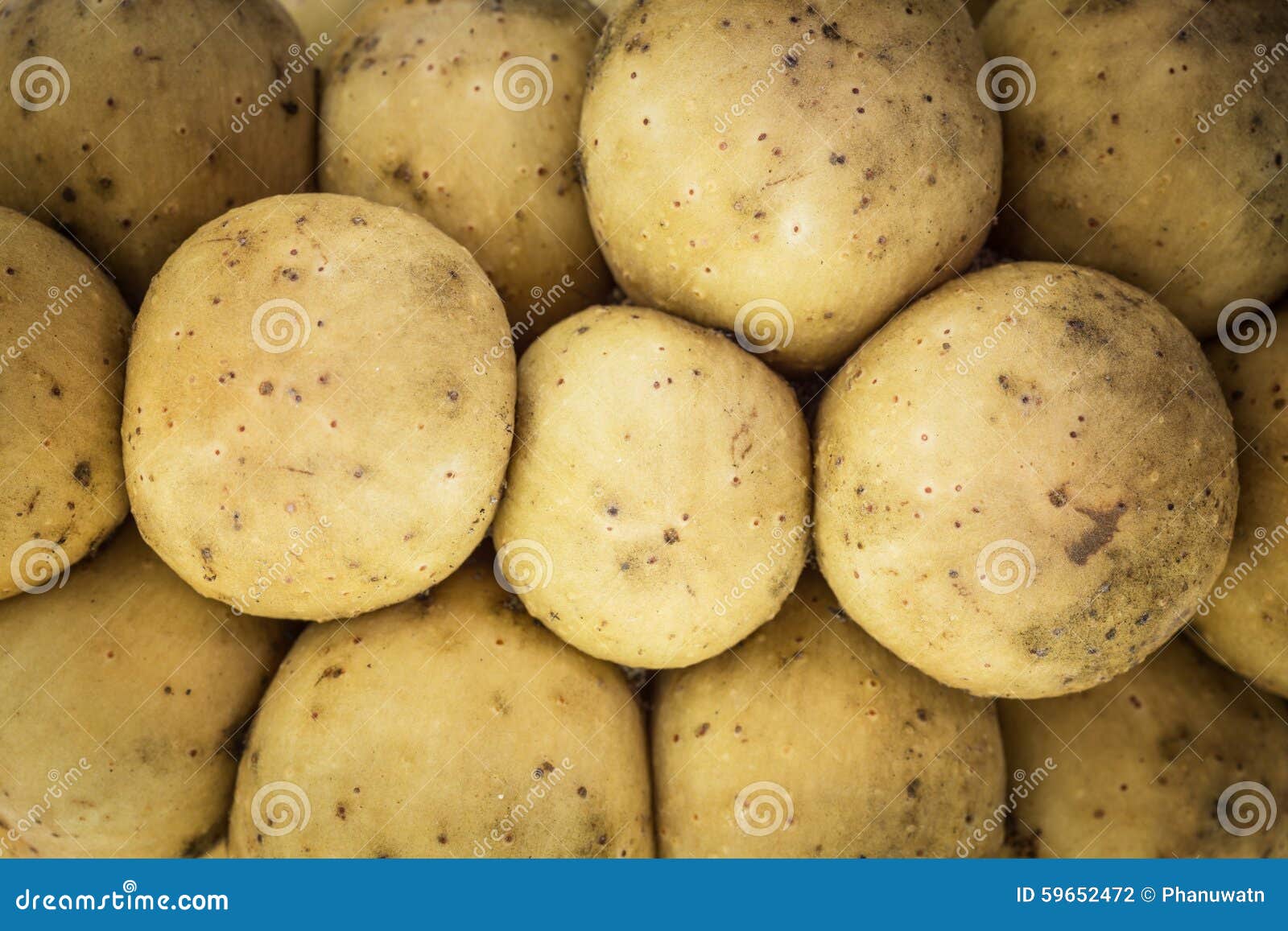 Thai Wollongong Fruit For Background Stock Photo - Image ...