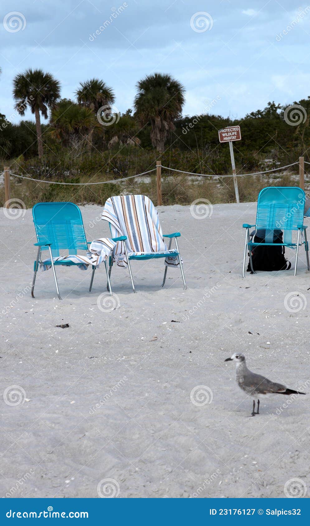 Royalty Free Stock Photography: Three empty deck chairs