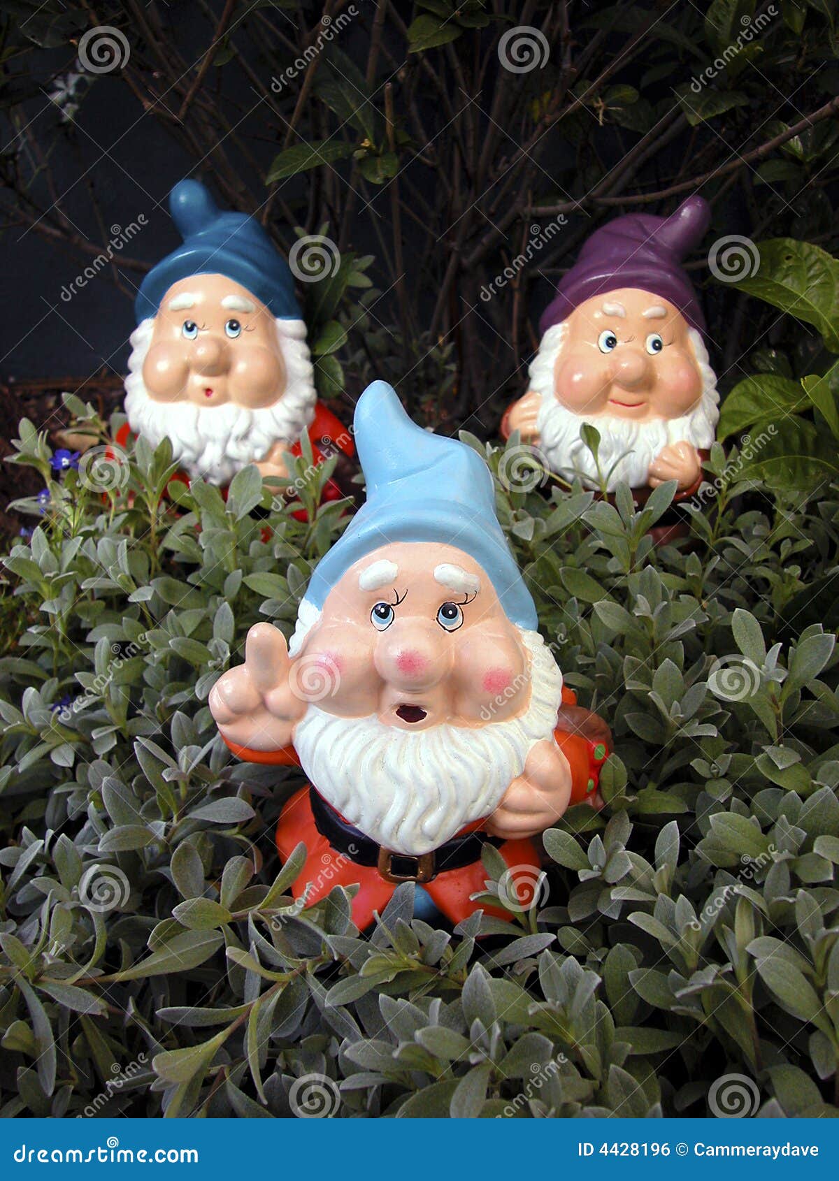 Three garden gnomes in the garden.