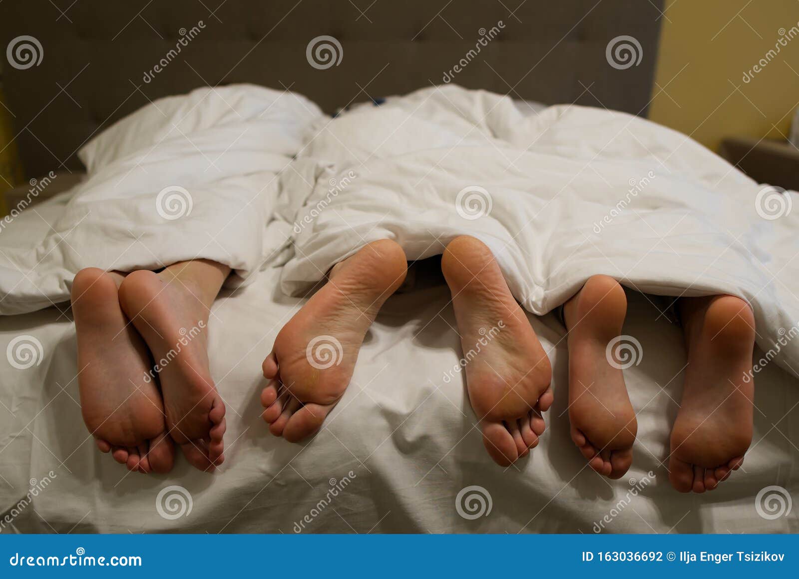 Three Pairs Of Legs In Bed Under A White Blanket Stock Photo Image Of
