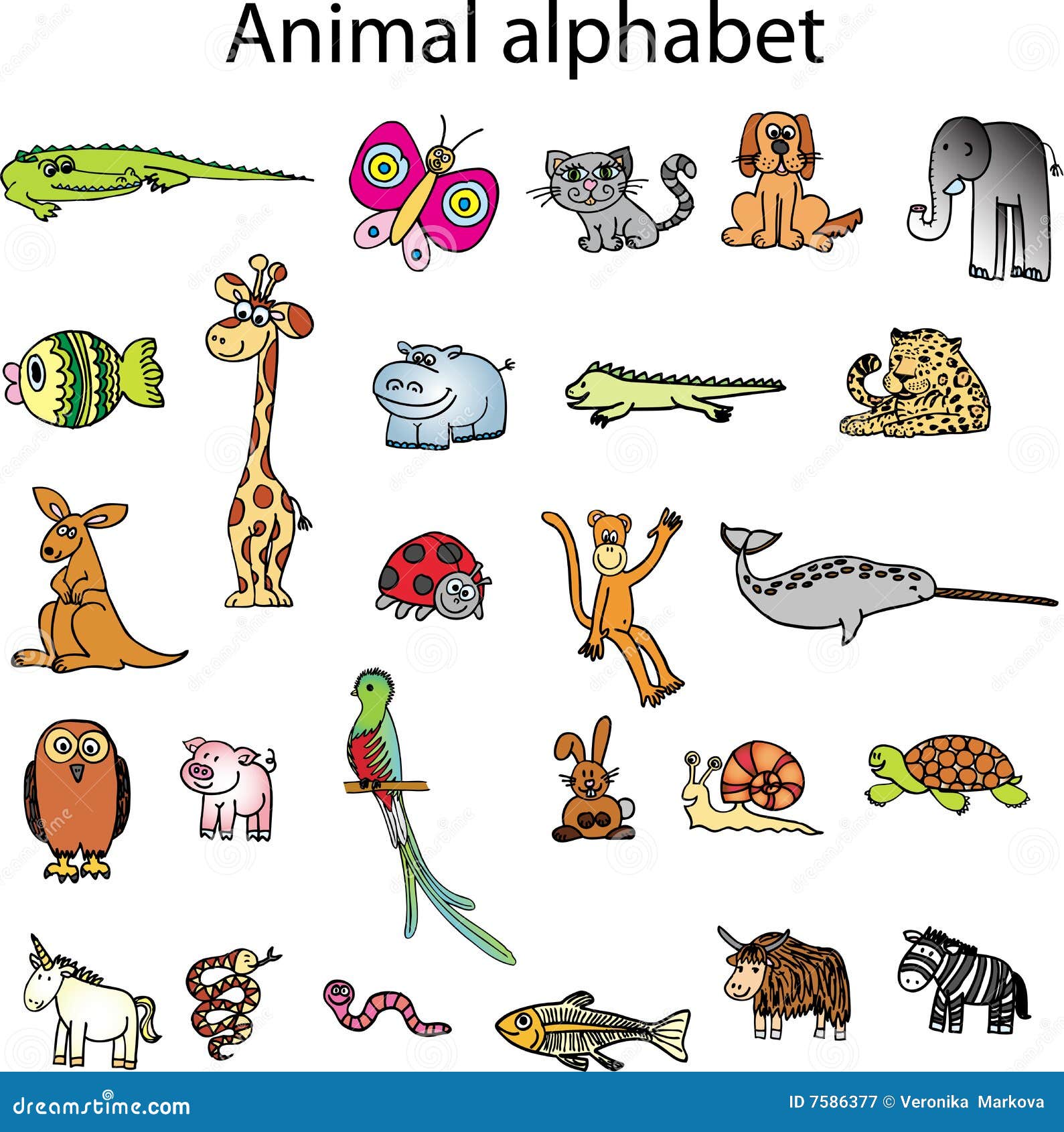 Plants Starting With O Letters Plants Starting With O Letters