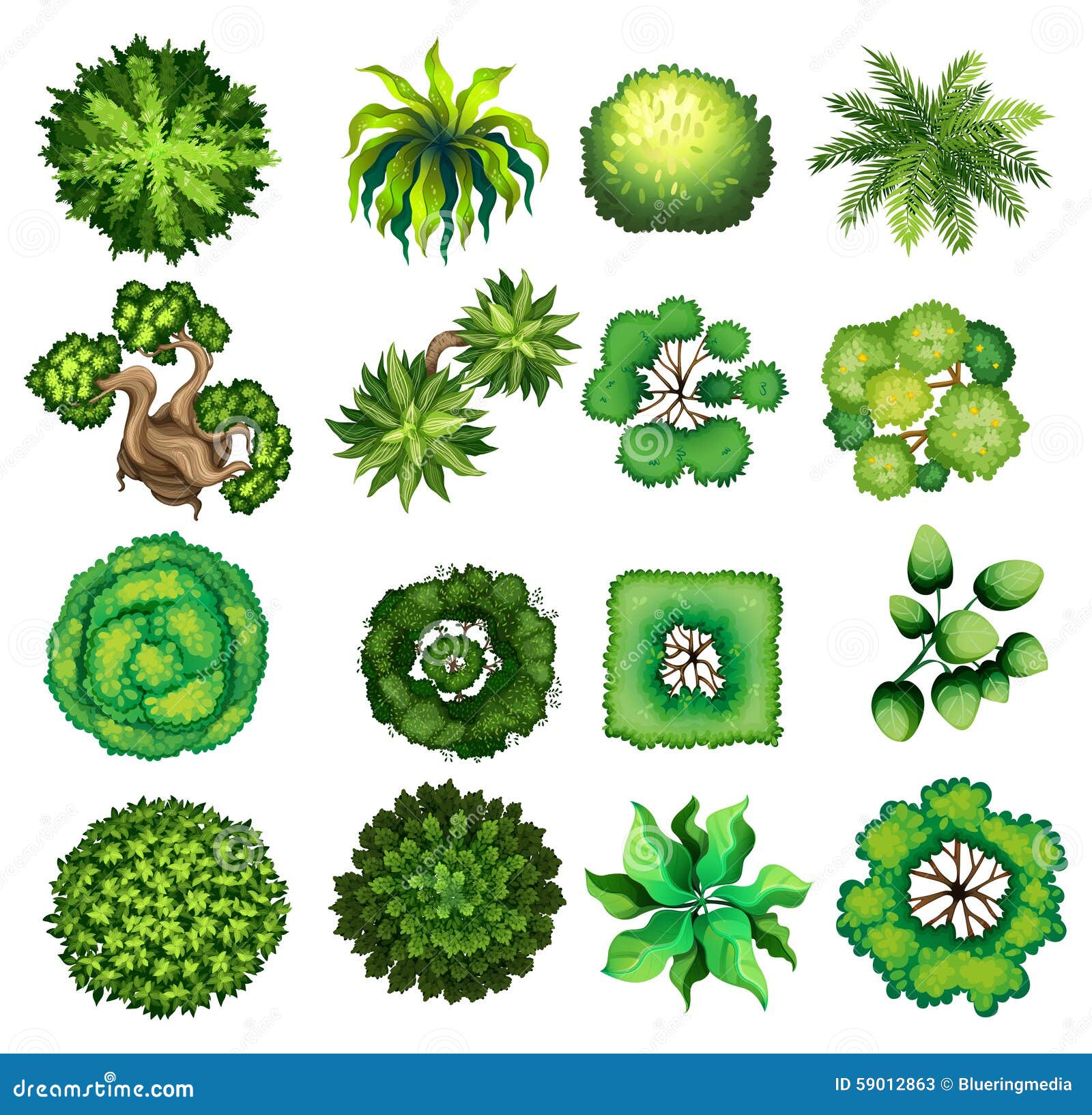 garden design with topview of the different plants stock illustration image with vegetable garden design - Garden Design Birds Eye View garden design with topview of the different plants stock illustration image with vegetable garden design - Garden Design Birds Eye View