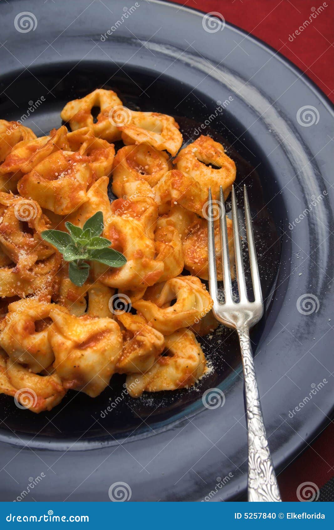 2019 year - Tortellini Primavera 2019 year