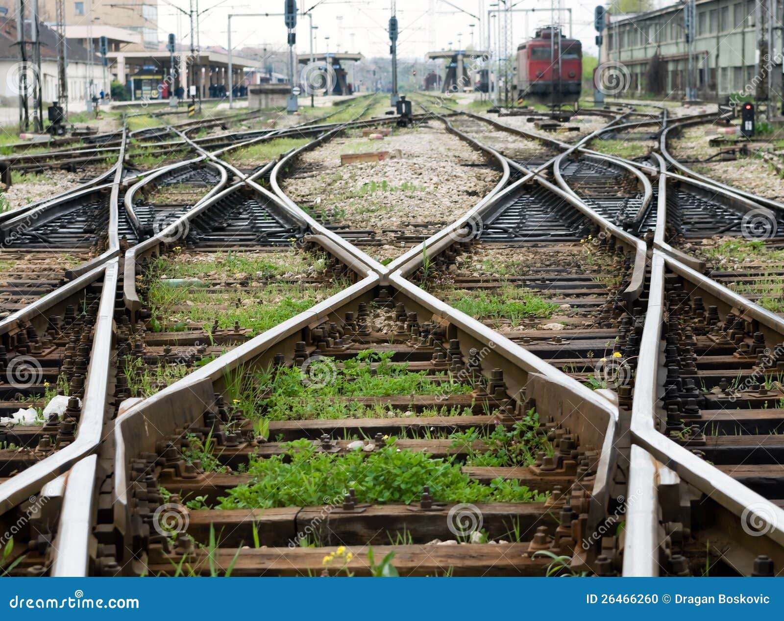 Train Line Crossing Stock Photo - Image: 26466260