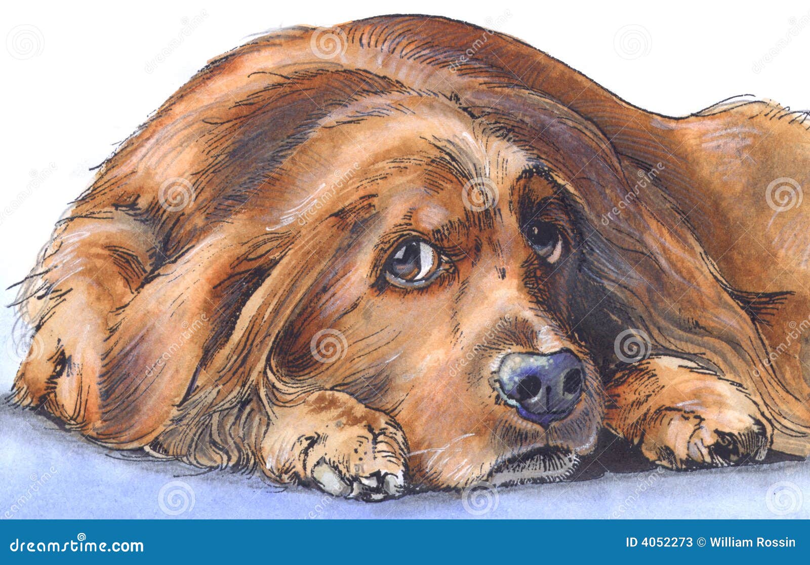Trauriger Hund Stockfotos Bild 4052273