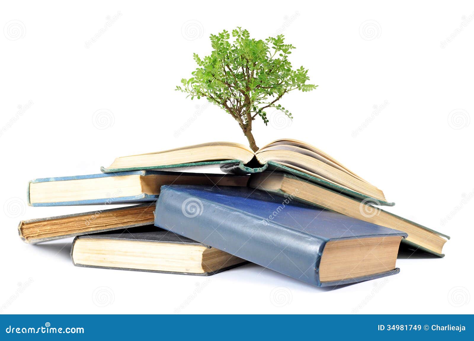 books on business plan