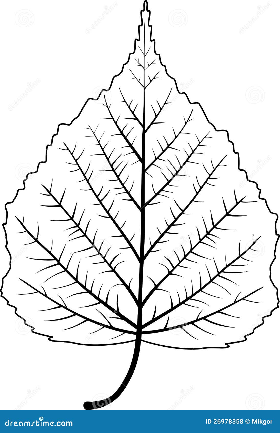 Tree Leaf Drawing