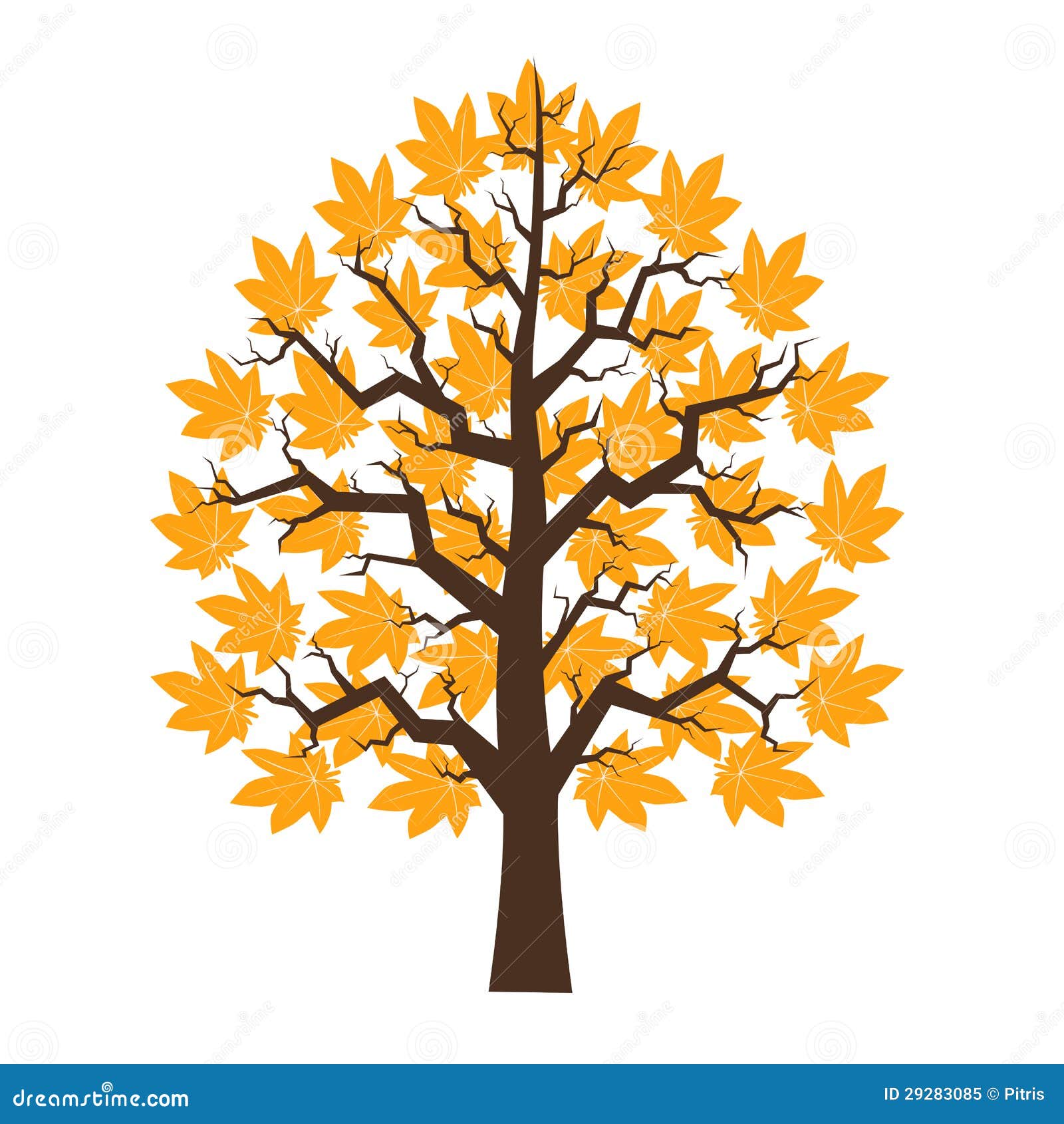 clipart maple tree - photo #9