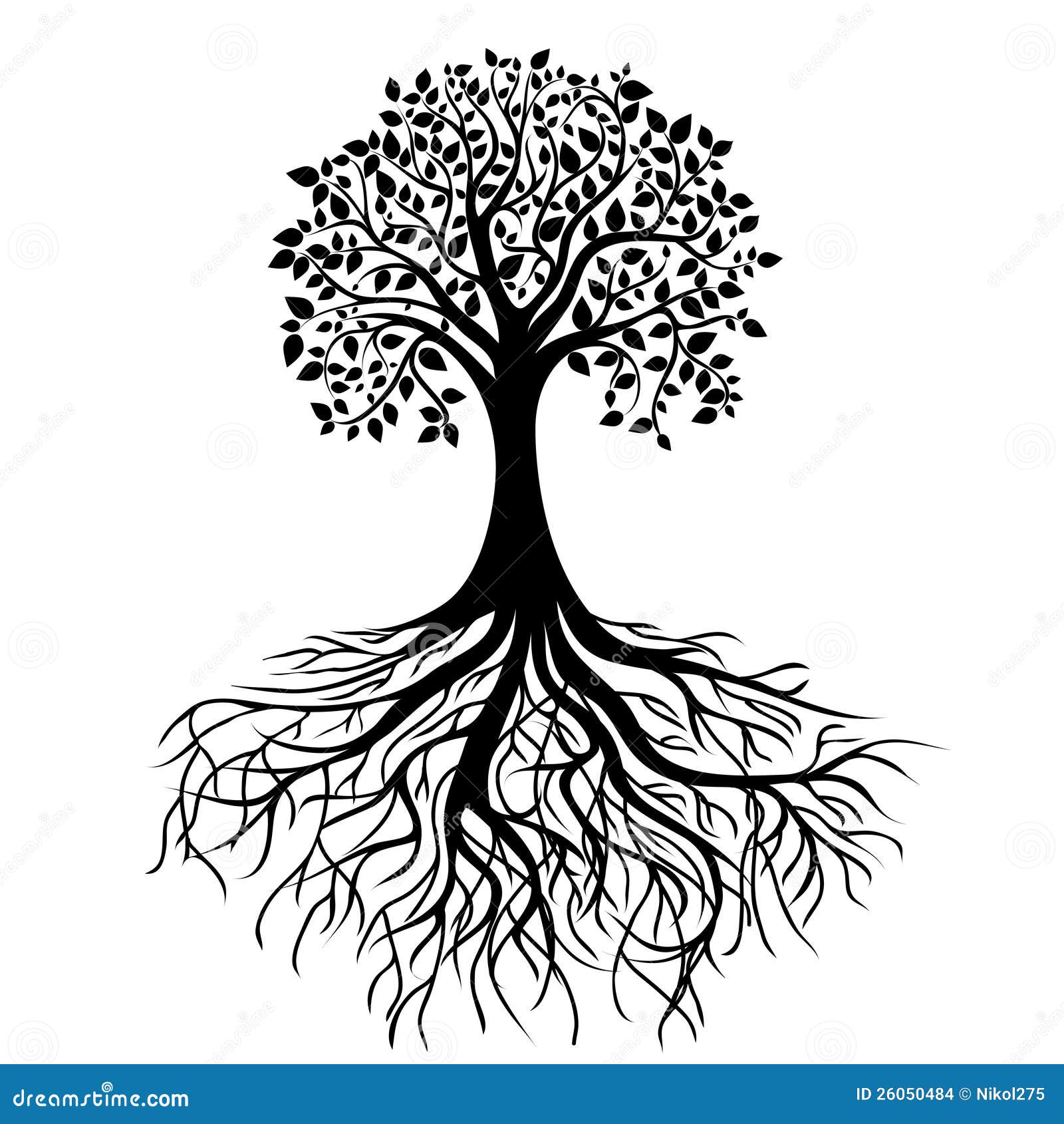 tree-roots-26050484.jpg